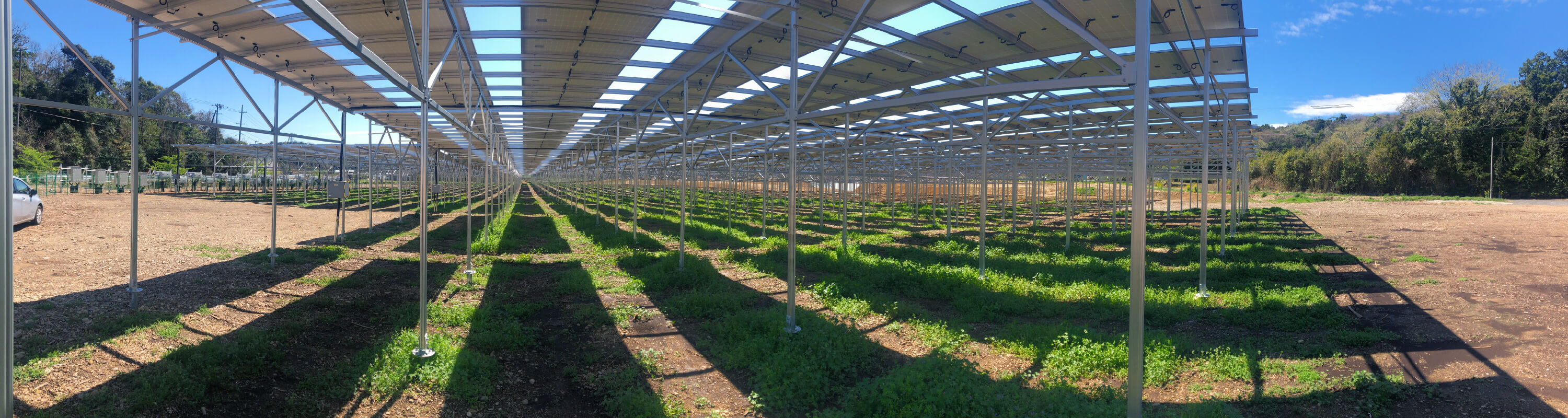 農地の上部空間にパネルを設置